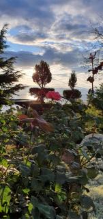 Vila Anastas - Ohrid - 3