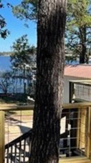 Holy Toledo-Larkspur Lodge - 5