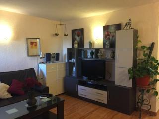 Gayfriendly 2 bedrooms apartment, pet friendly - Torremolinos - 8