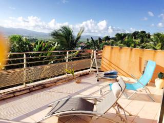 Grand Appartement De Standing, Magnifique Vue Mer - Ducos - 7