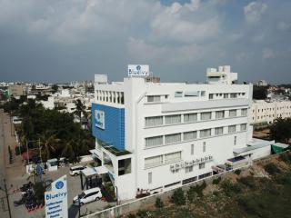 Hotel Blueivy Anand - Anand - 0