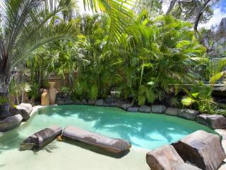 Maher Tce Rainforest Retreat is the Ideal Beach House - Sunshine Beach - 6