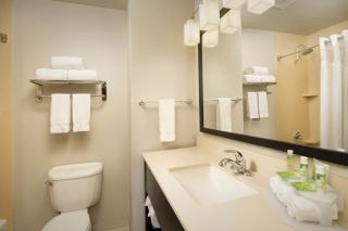 Holiday Inn Express Hotel and Suites DFW-Grapevine by IHG - Grapevine - 5