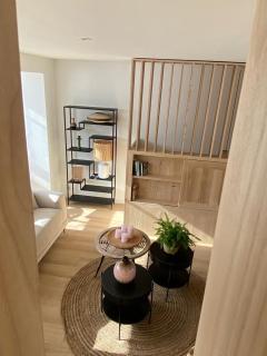 Le dodo mauricien - 4