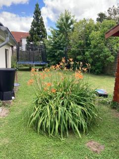 Ferienhaus Stralsundia - Stralsund - 4