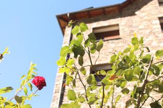 Apartaments Vilaró - Llorts - 3