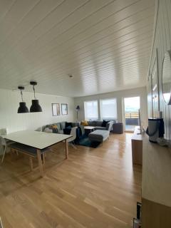 Voss, Øvre Tråstølen - Skulestadmo - 1