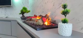 Luxury apartment with a fireplace! - Vodno, Skopje - 2