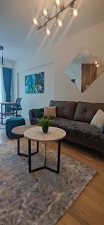 Luxury apartment with a fireplace! - Vodno, Skopje - 5