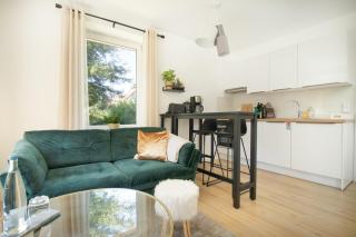 Löwe Apartment Gold Tiengen Altstadt - Waldshut-Tiengen - 5