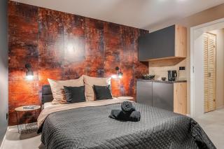 Loft House Apartment Studio z ogródkiem 1 - Rybnik - 9