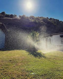 Trasicca B&B - Brunella - 5
