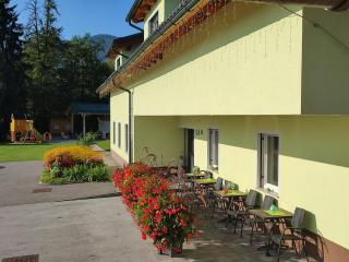 Apartment Jelovca - in the attic - Radovljica - 2