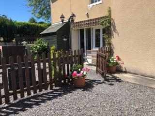 Le Grand Camelia - Saint-Martin-dʼAubigny - 9