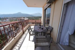 Blue Jasmine - Egio - 9