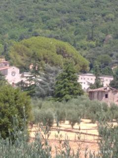 L'oasi di Alice - 1