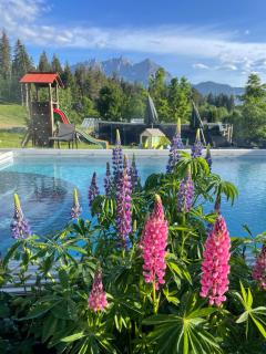 Gartenhotel Rosenhof bei Kitzbühel - Oberndorf in Tirol - 1