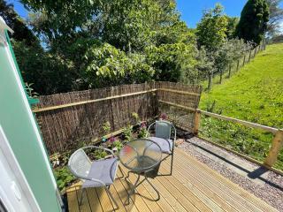 Pant y Rhedyn Glamping and camping site - 4