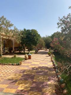 Gite d étape Khettara Oasis - Er Rachidia - 7