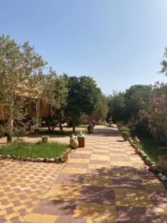 Gite d étape Khettara Oasis - Er Rachidia - 6