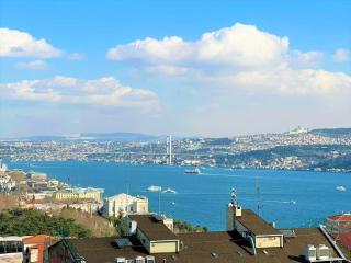 Charming, Designer Apartment with Private Rooftop Terrace, Bathtub, and Sea View in Taksim - 0