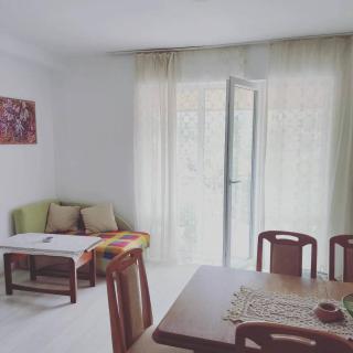 Apartman Milanovic - Sokobanja - 1