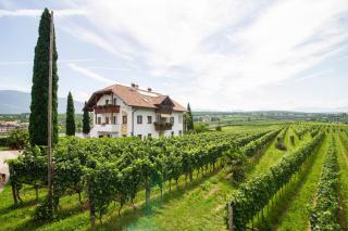Marolhof - Cornaiano - 0