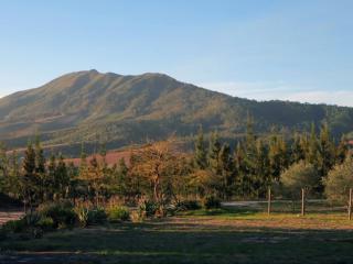 Bains View Olive and Guest Farm - Wellington - 1