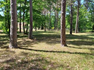 Camping ONLYCAMP LES PINS - Nançay - 7