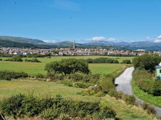 Herdwicks - Millom - 2