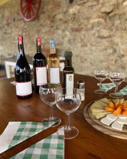 Agriturismo I Moricci - Peccioli - 2