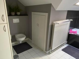 Vakantiewoning Het Wielje Maasland - 1