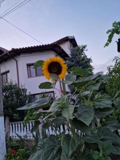 En vacances - Mangalia - 8
