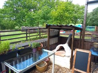 Route 47 Glamping Bell Tents - 5