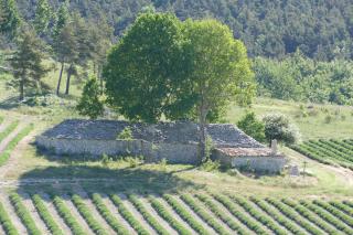 Les bois rouges - La Rochegiron - 9