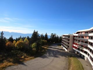 Appartement 30 m² avec balcon, à proximité des pistes et des commerces, animaux acceptés - FR-1-549-53 - Chamrousse - 1