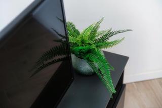 Acqua - by MyHomeinComo - Moltrasio - 1