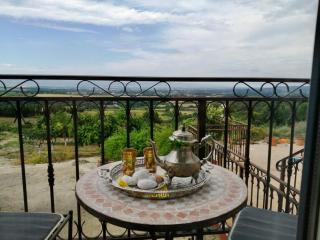 Guest-house de l’amandier - Vue cité médiévale - 9