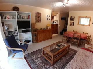 Appartement 2 chambres avec jardin plein sud pour 6 personnes - Barcelonnette, 04400, France - FR-1-165A-19 - Barcelonnette - 8
