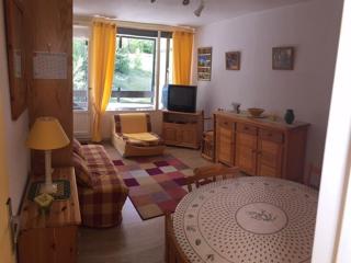 Studio rénové avec accès direct aux pistes - Résidence Le Roi Soleil, Le Sauze, 04400 Enchastrayes - FR-1-165A-31 - Enchastrayes - 5