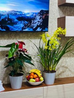 City Apartment - Tashkent - 3