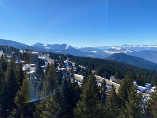 Les Balcons d'Edelweiss - Chamrousse - 7