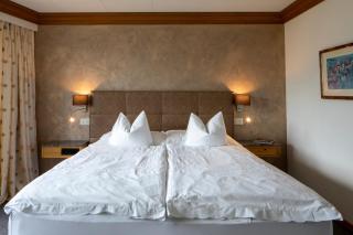 Cristallo Arosa Hotel - Arosa - 7