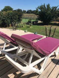 Maison de vacances en Camargue - Marsillargues - 2