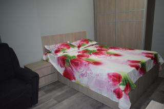 Apartament Parc Central RHBM - Baia Mare - 3