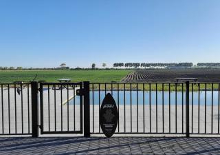 Bramendijk - Groede - 8