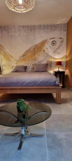 Logies La Chèvre Folle - Lodging & Cooking in Style with Shared Kitchen - Ostenda - 6