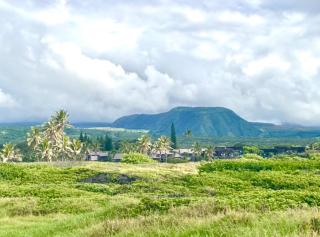 Beachfront 1 Bedroom Condo with Private Beach, Pool, Hot Tub - Pahala - 3