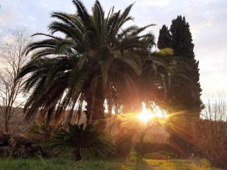 La Meriggia Senigallia Agriturismo - 2