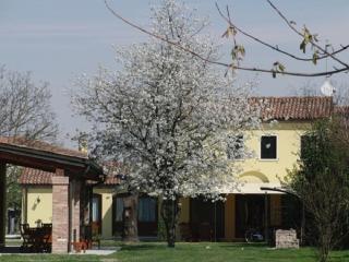 Particolari del Brenta - Oriago Di Mira - 0